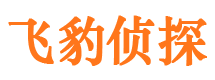 新泰侦探公司